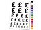 Pound Sterling Symbol United Kingdom Temporary Tattoo Water Resistant Fake Body Art Set Collection